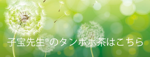 タンポポ茶ショウキt 1は女性ホルモンに対する論文があります 子宝先生 の妊活